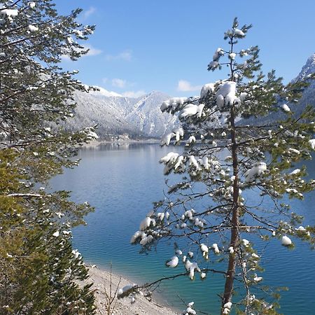 Ammerwald Alm Plansee Zewnętrze zdjęcie