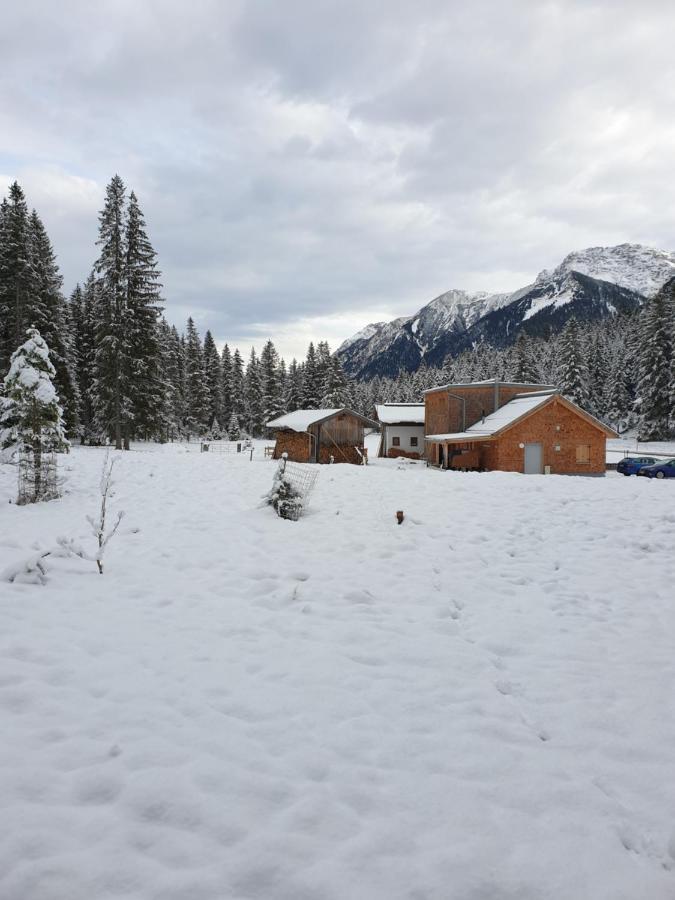 Ammerwald Alm Plansee Zewnętrze zdjęcie