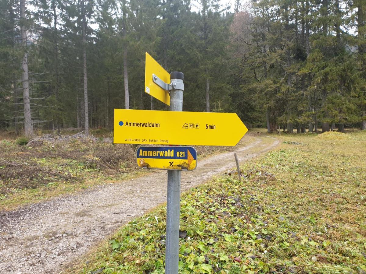 Ammerwald Alm Plansee Zewnętrze zdjęcie