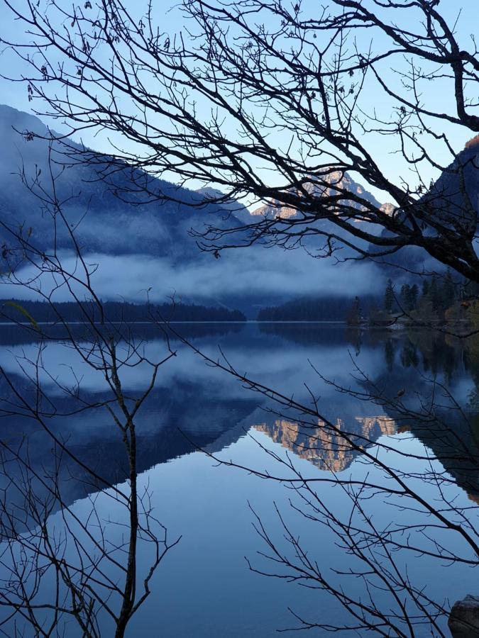 Ammerwald Alm Plansee Zewnętrze zdjęcie