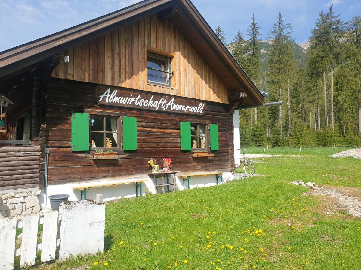 Ammerwald Alm Plansee Zewnętrze zdjęcie